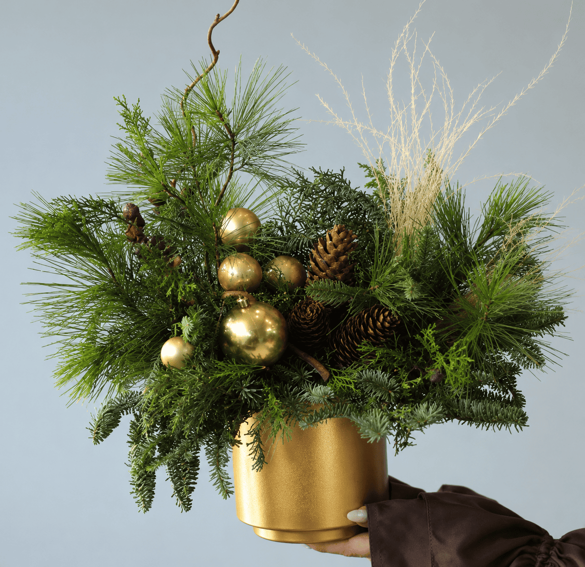 Taller Centro de Navidad - 8 de Diciembre