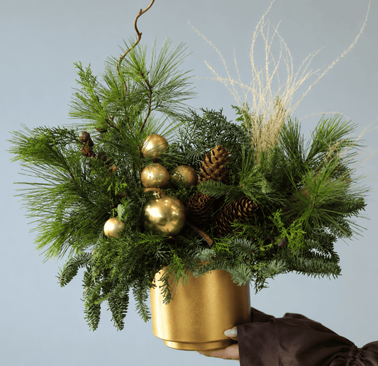 Taller Centro de Navidad - 28 de NOV