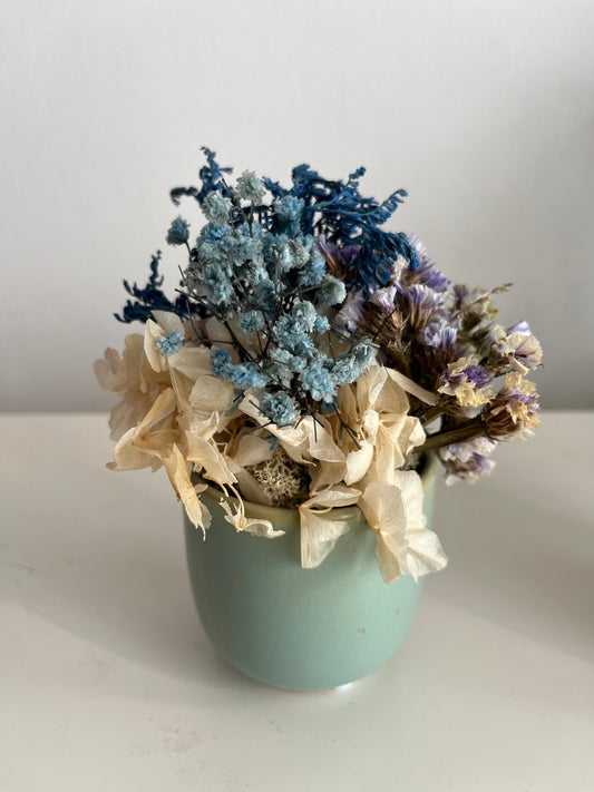 POT - BLU