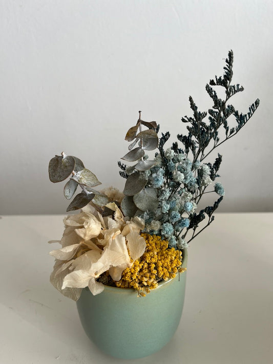 POT - BLU YW