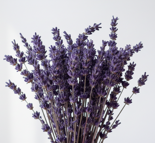 Ramo de Lavanda